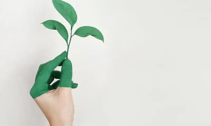 5 prostych sposobw aby by bardziej eko